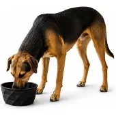 Belviona Keramische voerbak hond, antislip & vaatwasserbestendig, 1100 ml mat zwart