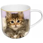CARMANI Mok met Kattenprint en Staart - 450ml