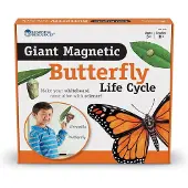 Learning Resources Reuze magnetische levenscyclus van een vlinder