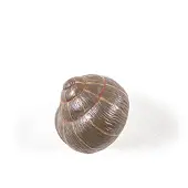 Seletti Sleeping Snail Kledinghanger Coloured