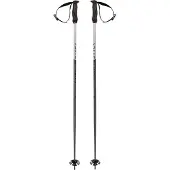 Völkl Phantastick 18mm Stokken