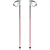 Völkl Phantastick 16 Mm Stokken