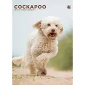 CalendarsRUs Cockapoo A3 Kalender 2027