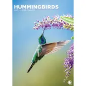CalendarsRUs Kolibrie A3 Kalender 2027