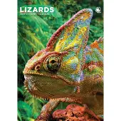 CalendarsRUs Hagedissen A3 Kalender 2027
