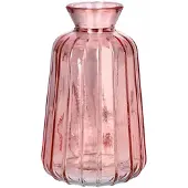 Duif Vaas Carmen | | Roze