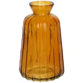 Duif Vaas Carmen | | Geel