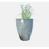 Loberon Sierpot Serenzia