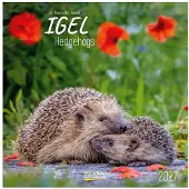 Korsch Verlag Egel Kalender 2027