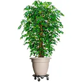 vidaXL Plantentrolleys met wielen 2 st 275 kg diameter 40 cm zwart