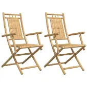 vidaXL Klapstoelen, 2 stuks, 53 x 66 x 99 cm, bamboe