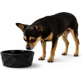 Belviona Keramische voerbak hond, antislip & vaatwasserbestendig, 350 ml mat zwart