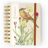 Paperclip Flexi Cover Agenda Orange Bird 2027 A5 –