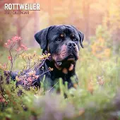 Magnet & Steel Rottweiler Kalender 2027