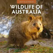Red Robin Wildlife of Australia Kalender 2027