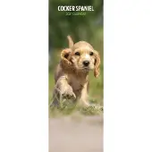 Magnet & Steel Engelse Cocker Spaniel Kalender 2027 Slimline