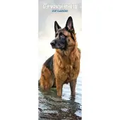 Magnet & Steel Duitse Herder Kalender 2027 Slimline