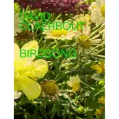 Hannibal Books David Claerbout - Birdsong (Hardback)