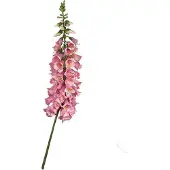 Buitengewoon Boet Vingerhoedskruid 127 cm Roze kunstplant Buitengewoon de Boet