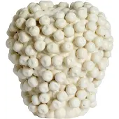 Light & Living Light&living Vaas deco Ø25,5x27 cm BERRIES keramiek crème