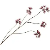 Silk-ka Kunstbloem Capparis Bordeaux H 14 Cm