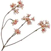 Silk-ka Kunstbloem Capparis Geel / Roze H 43 Cm
