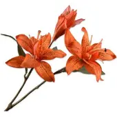 Silk-ka Kunstbloem Lelie Oranje H 45 Cm