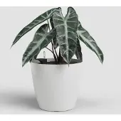 Artevasi San Remo Bloempot Zelfwaterend Ø 42,7 cm Wit - Plantenpot en Bloembak voor Binnen en Buiten