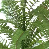 Gasper Boston Varen - Nephrolepis Groen 67 cm in pot - Kunstplanten