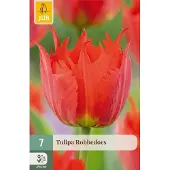 JUB Tulipa Robbedoes bloembol 7 stuks