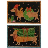Décoris Deurmat Tekkel 40x60cm Verschillende verschillende Kokosvezel