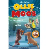 Volt Ollie & Moos: Opgeruimd staat netjes (Hardback)