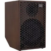Acus Ferdi Simon 10 300W akoestische gitaarversterker