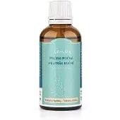 Venoc Eénjarige wormhout – Eénjarig alsem – kruidentinctuur, 50 ml