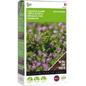 Buzzy Seeds Groenbemester Perzische Klaver (Trifolium Resupinatum) 200 G