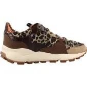 Mtng Climb Schoenen