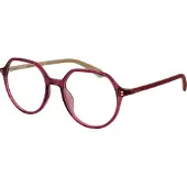 Polaroid PLD D613 51/18/140 Plum Polyamide monturen VROUW PLD D613