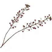 Silk-ka Kunstbloem Paardenkastanje Bruin H 46 Cm