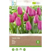 Intratuin Biologische Bloembollen Tulp (Tulipa) Roze 6 Stuks