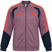 Adidas Bayern München Europees Presentatie Trainingsjack 2026-2027 Kids Lichtpaars Zwart Rood