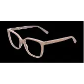 Longchamp LO2808 53/16/140 Gradient nude Acetaat VROUW LO2808