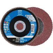 PFERD TOOLS 67708125 PFC 125 A 80 SG STEELOX Lamellenschijf Diameter 125 mm Boordiameter 22.23 mm Korrelgrootte (num) 80 RVS, Staal 10 stuk(s)