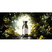 Alqvimia Verstevigende Lichaamsolie 150ml
