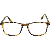 Taylor Morris Brilrand SW16 C3 52