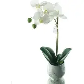 Gasper Vlinderorchidee Wit Keramiekpot 36 cm - Kunstbloemen