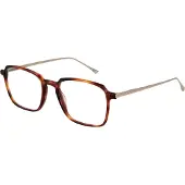 Taylor Morris Brilrand SW3 C7 53