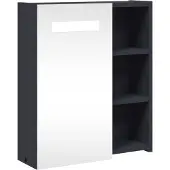 vidaXL Spiegelkast met LED-verlichting, grijs, 45x13x52 cm