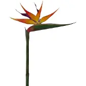 Clayre & Eef Kunstbloem Oranje Kunststof