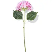 HEMA Kunstbloem hortensia 55cm roze (roze)