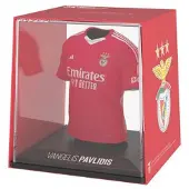 Fancollex MyJersey - Benfica Thuisshirt 2024/25, Vangelis Pavlidis